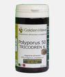 Polyporus 50 Tricodren K 60 capsule di Golden Wave
